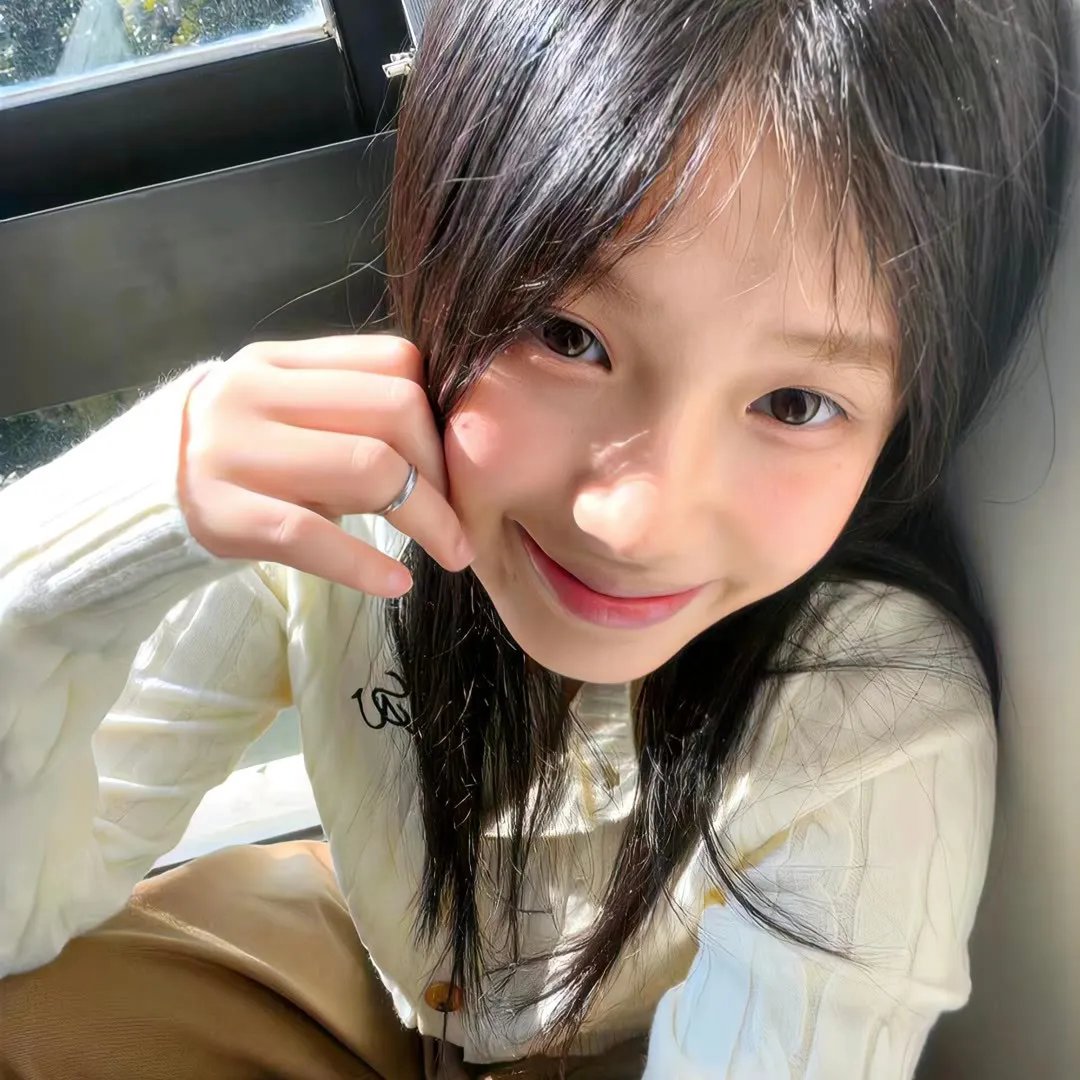 八公犬物语